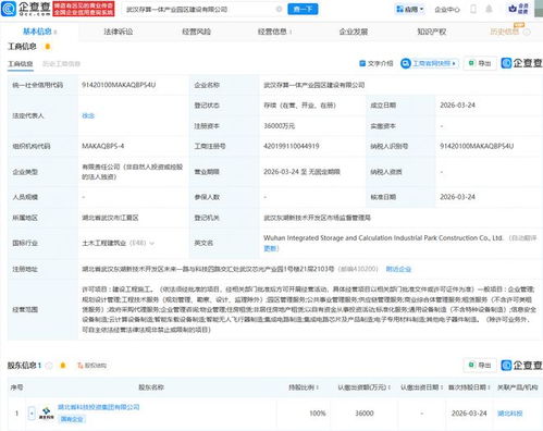武漢存算一體產業園區建設公司成立，加速區域數字經濟發展